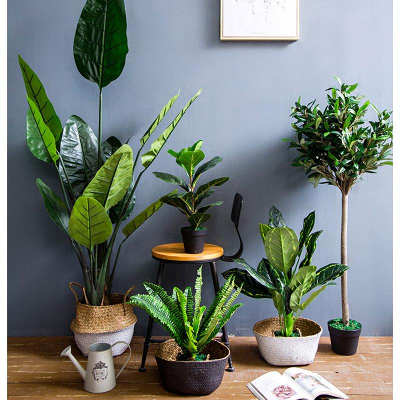 src=http_%2F%2Fdttt.net%2Ftbimg%2Fimg02%2Fbao%2Fuploaded%2Fi2%2F2679684008%2FO1CN01bVlYDI1fThuM701id_!!2679684008.jpg&refer=http_%2F%2Fdttt.jpg src=http_%2F%2Fdttt.net%2Ftbimg%2Fimg02%2Fbao%2Fuploaded%2Fi2%2F2679684008%2FO1CN01bVlYDI1fThuM701id_!!2679684008.jpg&refer=http_%2F%2Fdttt.jpg